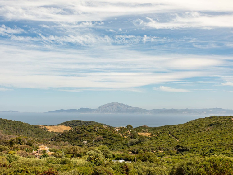 Untitled design (42)