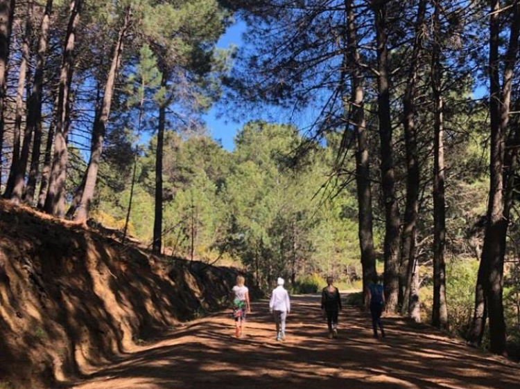 Untitled design (55)