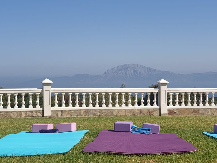 Untitled design (60)